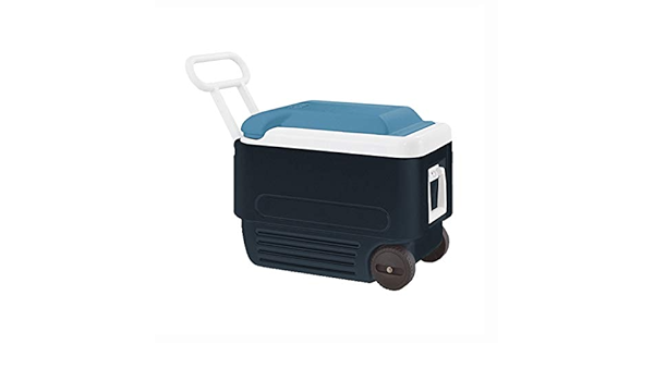 LIYANLCX Portátil Mini Refrigerador Enfriador Y Calentador ...