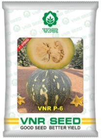 VNR Organic F1 Hybrid Pumpkin P-6 High yielding Vegetable seeds
