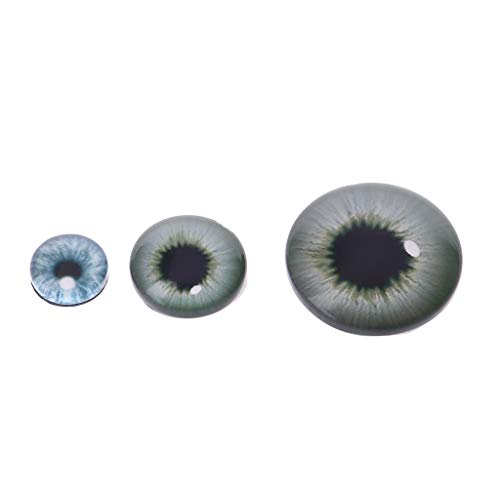 Because0f 20 Pcs 8mm/12mm/18mm Glass Dolls Eyes Animal DIY Crafts Eyeballs for Dinosaur Eyes Making (8mm)