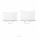 WEEKENDER Alternative Hotel Quality 100% Cotton Cover-Soft Hypoallergenic Pillow-2 Pack-(13