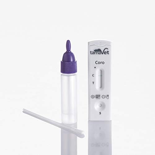 Rapid Test Coronavirus for Dogs and Cats