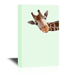 Peekaboo Animals A Curious Giraffe