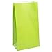 Vibrant Lime Green Paper Party Bags (Pack of 12) - Premium Quality Bags, Perfect for Celebrations & Gifts