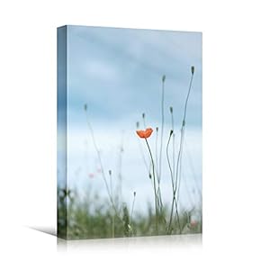 signwin Canvas Wall Art Lone Flower in Field...