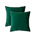 BGment Soft Velvet Cushion Cover, Decorative Square Throw Pillow Case for Sofa Car, Bedroom, Living Room, 18x18 inch - Emerald Green