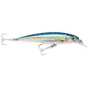 Rapala X-rap Saltwater Leurre
