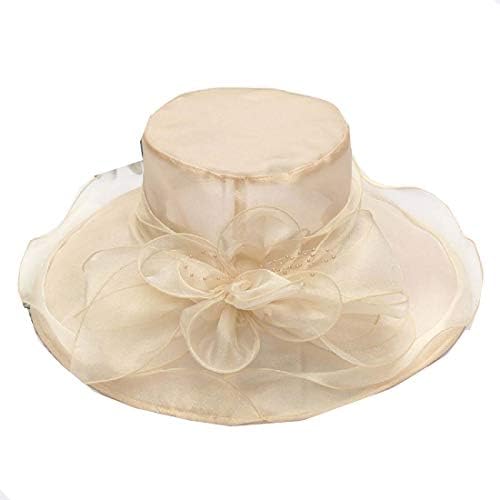 www limpopopn gov mz