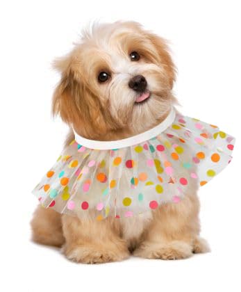 Jovono Dogs and Cats Cute Bandana Pet Princess Costumes Lace Colorful Triangle Bibs Accessories for Small Medium Dots Cat