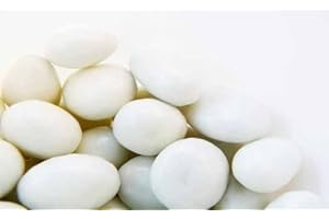 The Nutty Fruit House Raisin Collections (1 Pound (Pack of 1), Yogurt covered)