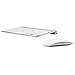 Apple Wireless Keyboard with Apple Magic Bluetooth Mouse (Renewed)