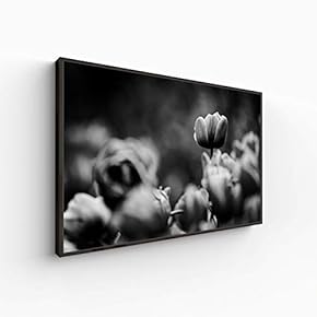 Canvas Wall Art for Living Room, Bedroom Monochrome Plants Framed Canvas Prints for Home Decoration Ready to Hang - 16x24 inches