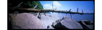 Sharan SW-35 DIY Make and Shoot Panoramic Pinhole 35mm Film Camera Kit - Thumbnail 3