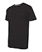 Hanes Men's X-Temp Performance T-Shirt (Medium)