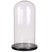 Moonlear Glass Dome Cloche Tabletop Display Case Bell Jar 4.7x11inch (Black Wood Base)