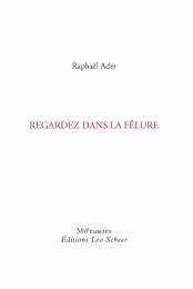 Regardez dans la fêlure