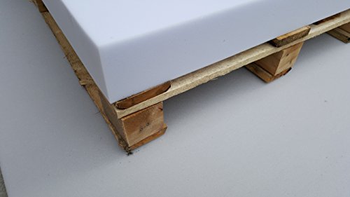 Palettenkissen, Palettensofa, Palettenpolster, Matratzenkissen (120x80x8cm) Schaumstoff für Europalette, Hundekissen, Auflage (Schaumstoff ohne Bezug) (120x80x10)