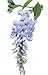 Chinese Species Blue Wisteria-Vine-Tree-Fragrant-Flowering-2 Pack
