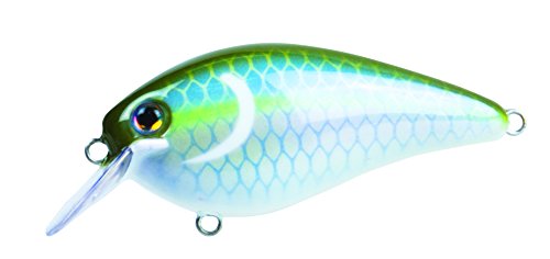 Strike King KVD1.5 Square Bill Crankbait, Sexy Green Shad, 2 1/2"/7/16 oz
