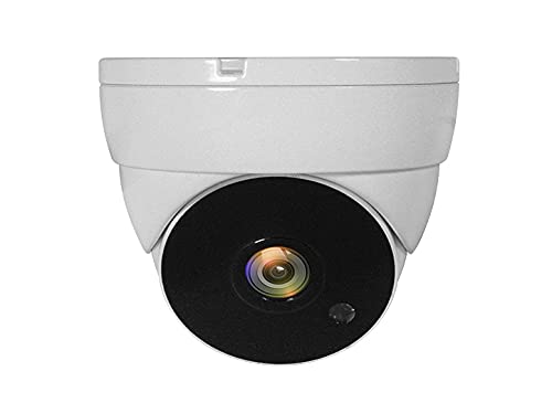 LevelOne Outdoor Dome Camera, Multi-Colour, One Size