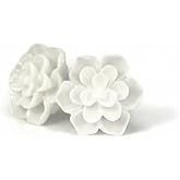 Pretty Smart Hypoallergenic Succulent Earrings for Sensitive Ears