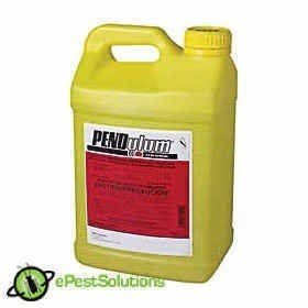 PENDULUM 3.3 EC HERBICIDE 2.5 gal LG9990