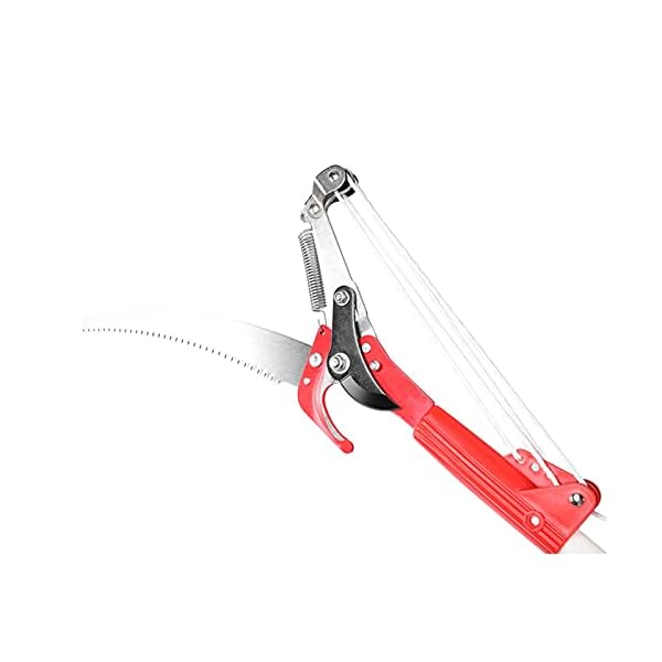Baumschere StangensÃ¤ge ohne Stange, Gartenschneidewerkzeug, 4 RÃ¤der Scharfes Gartenscherenscherenschneider-Trimmwerkzeug ObstpflÃ¼cker Harvester-StangensÃ¤ge Baumschneidemaschinenschneidemaschine – Bild 6