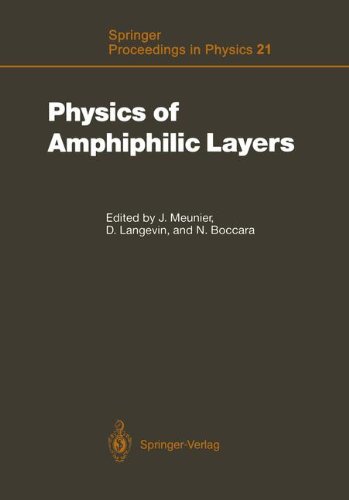 Physics of Amphiphilic Layers: Proceedings of the Workshop, Les Houches, France February 10-19, 1987 (Springer Proceedings in Physics)