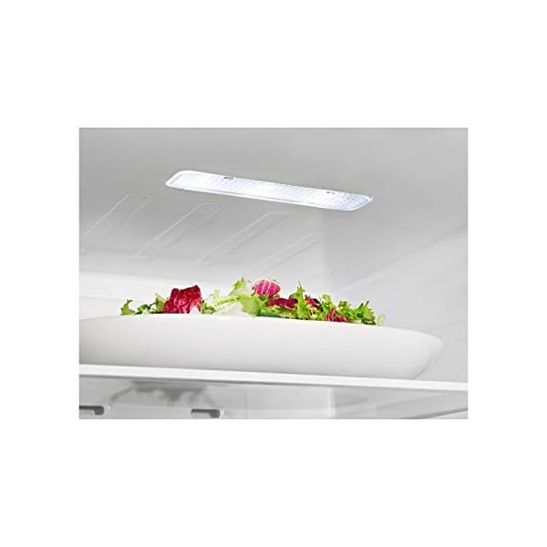 Hisense RL423N4AC11 Freestanding Refrigerator, Grey, 328L