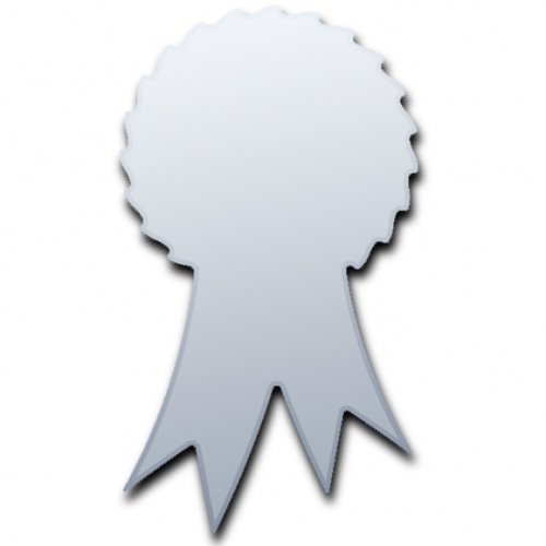 Super Cool Creations Rosette Mirror - 60cm x 34cm