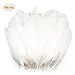 WELLGO 100 Pcs White Glitter Feather Goose Real Feather Christmas Decoration Natural Craft Art Soft Native Feather Accessories for Christmas, DIY, Party, Wedding, Dream Catcher (100pcs)