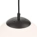 Light Society Zeno Globe Pendant, Frost White with Black Finish, Contemporary Mid Century Modern Style Lighting Fixture (LS-C175-BK-WH)