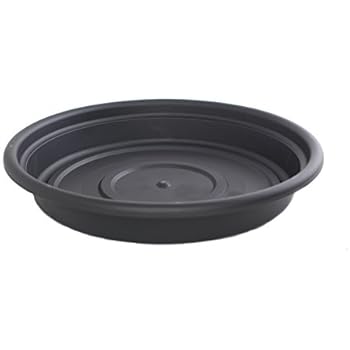 Amazon.com : Tusco TR18T Rolled Rim Saucer, Terra Cotta, 18-Inch : Planters : Electronics Amazon.com : Tusco TR18T Rolled Rim Saucer, Terra Cotta, 18-Inch : Planters : Electronics
