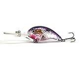 FLASHING LED Flash LIGHT Fishing Lure BAIT Deepwater Crank Bass Pike NEW (B)