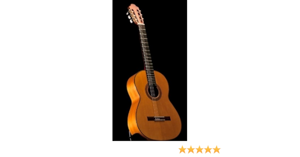 Amazon.com: Francisco Navarro Guitarra Flamenca : Instrumentos Musicales