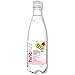 Hint Fizz Strawberry Kiwi Sparkling Water, 16 Fluid Ounce -- 12 per case.