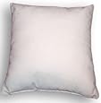 Amazon.com: 22" X 22" Pillow Insert: Home & Kitchen