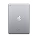 Apple iPad (5thGEneration) Wi-Fi, 128GB - Space Gray (Renewed)