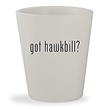 got hawkbill? - White Ceramic 1.5oz Shot Glass