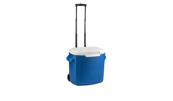Campingaz 28 qt Performance Nevera, Adultos Unisex, Azul ...