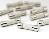 Bluecell pack of 10 pcs F10AL Fast-Blow Fuse 10A 250V Ceramic Fuses 5 x 20 mm (10amp)