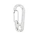 Mini Hanging Buckle, Pack of 20Pcs Metal Spring Backpack Clasps Carabiners Hook EDC Keychain Fishing Camping Bottle Hooks Paracord Tactical Survival Gear (Silver)