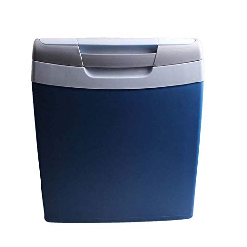 DSHBB Car Fridge Miniï¼Œcar Refrigerator Cooler ï¼Œcar Fridge Home Camping Fridge