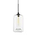 Brooklyn Bulb Co. Clear Glass 1-Light Pendant Lamp, Windsor Heights Collection, Cylinder Shape Ceiling Fixture