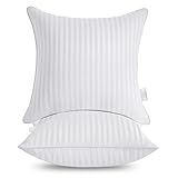 Oubonun 20 x 20 Throw Pillow Inserts