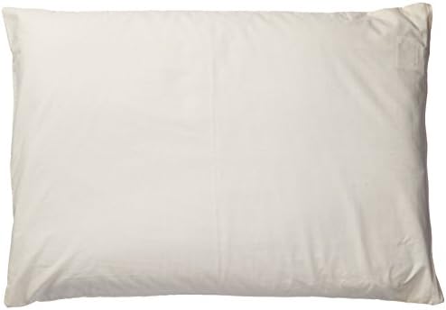 Natures Pillows Sobakawa Buckwheat Pillow With Free Pillow