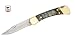 Buck Knives 110 Rams Horn Folding Hunter Knife 