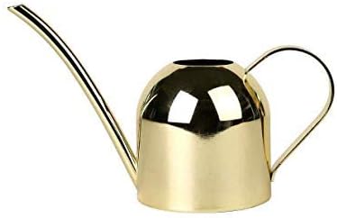Cratone Water Can 500 ML Stainless Steel Water Bottle Long Mouth Watering Can for Garden House Plant Indoor Outdoor (Gold 2)