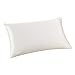 ALASKA BEAR Luxurious 25 Momme Silk Pillowcase, 100% Mulberry Silk Pillow Case Cover, Standard (1, Ivory(Natural Undyed White))