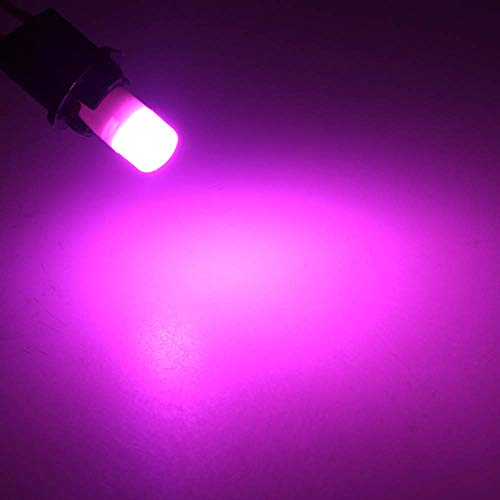 DODOFUN T10 Ceramics Interior Exterior Bright LED Light 168 175 194 2825 W5W Size Bulb Pink Color (Pack of 10)