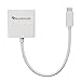 BlueRigger USB-C (Thunderbolt 3 Compatible) to HDMI Adapter (25CM) - Compatible with 2016/2017 MacBook Pro, Google Chromebook Pixel, Samsung Galaxy S8/S8+ - Supports 4K @ 60Hz